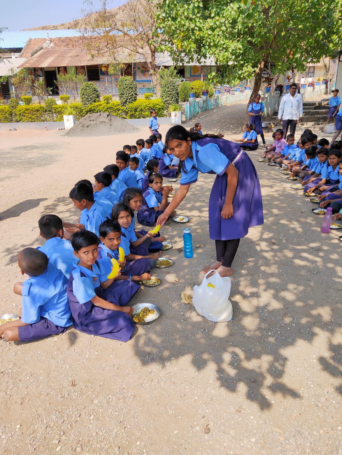Fruit Distribution